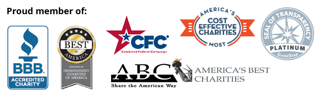 Bridging The Digital Divide Americans Helping Americans